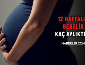 12 haftalık gebelik kaç aylık oluyor? Hamilelikte doğru bilinen yanlışlar!