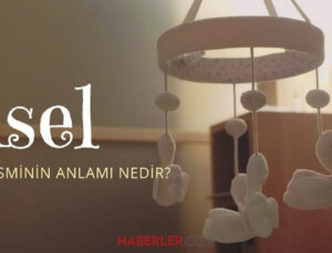 Asel isminin anlamı nedir? Asel ismi Kuran’da geçiyor mu? Asel ne demek?