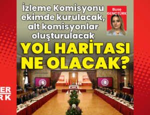 İzleme Komisyonu ekimde kurulacak: Alt komisyonlar oluşturulacak: Yol haritası ne olacak?